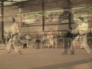 Coupe de france Nihon Tai Jitsu 2006