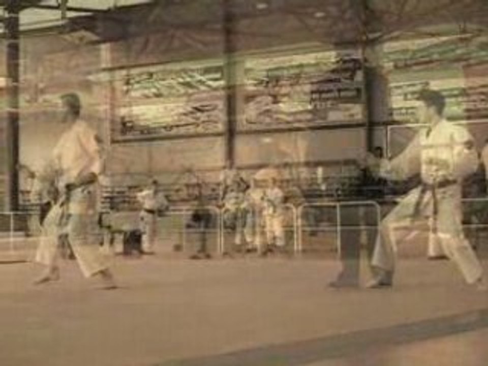 Coupe de france Nihon Tai Jitsu 2006