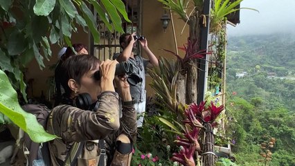 "Menos contaminación lumínica" claman conservacionistas de Venezuela en el Global Big Day