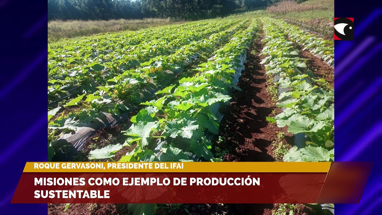 Sala Cinco – Programa completo 15/05/23