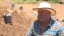 mqn'Agricultor de Tierra Blanca acumula medio siglo de trabajo en el campo-150523