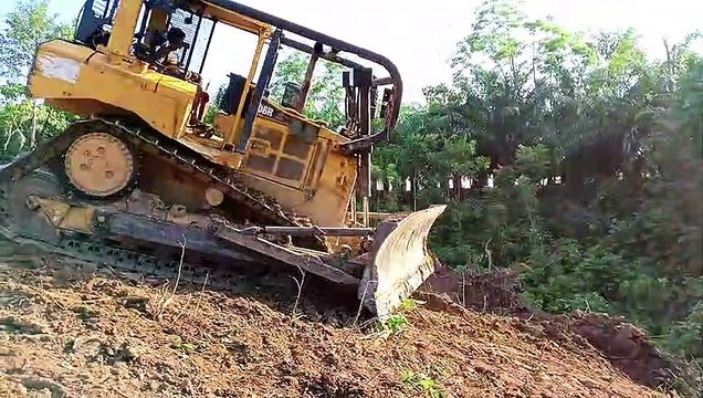 Bulldozers D6R XL Clear Forest Remnants in Difficult Places