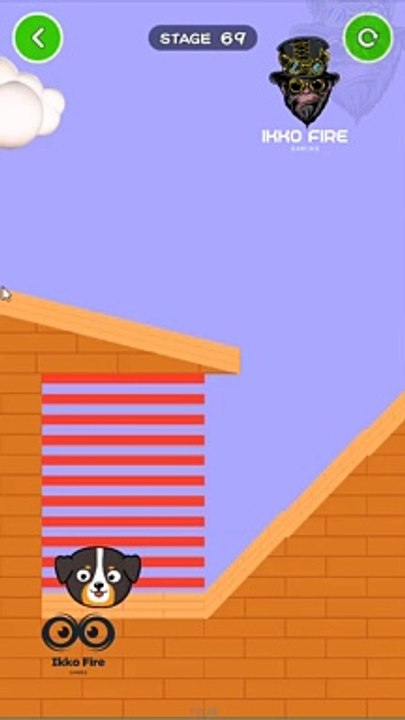 NOOB vs PRO vs HACKER - Save the Doge - Gameplay - MAX LEVEL in Save the Doge Game | Ikko Fire