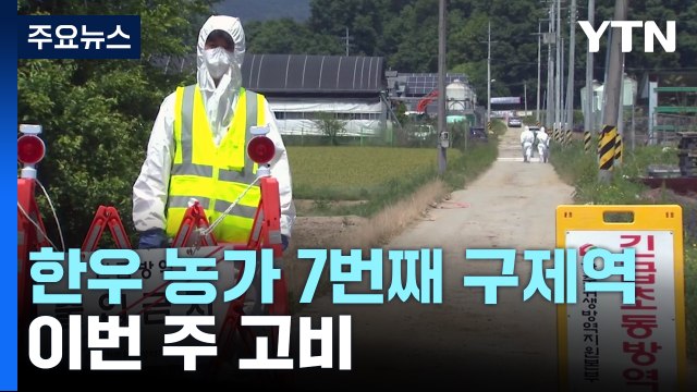구제역 또 늘어 벌써 7건...이번 주가 확산 '고비' / YTN