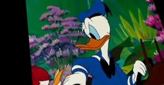 Donald Duck Donald Duck E146 Don’s Fountain of Youth