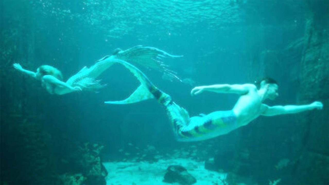 MerPeople