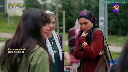 Fruto Prohibido Capítulo 398