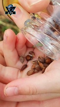 Interesting facts about apple | सेब के बारे में रोचक तथ्य#apple #facts #viral