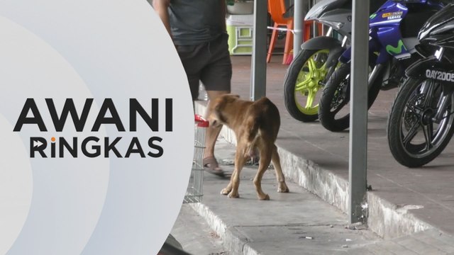 AWANI Ringkas: 11 kes rabies kalangan manusia dikesan