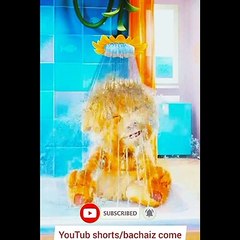 funny CatoFunny Cats Dogs Video Funny cat shorts  youtub shorts viral shortsbest funny video