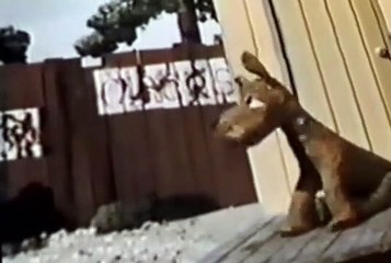 Davey and Goliath Davey and Goliath S01 E006 Cousin Barney