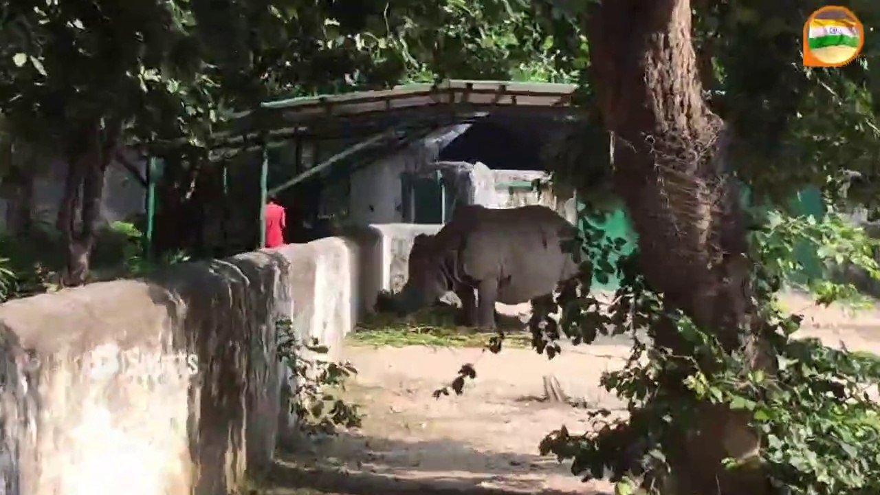 Kanpur Zoological Park Kanpur Zoo video Dailymotion
