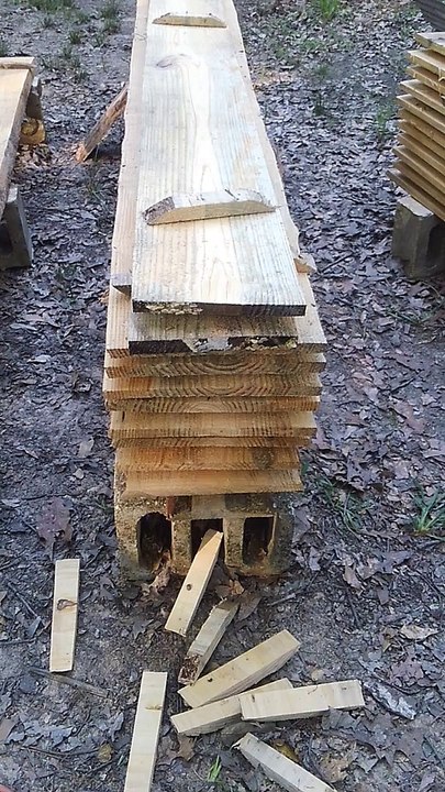 Sawing Lumber