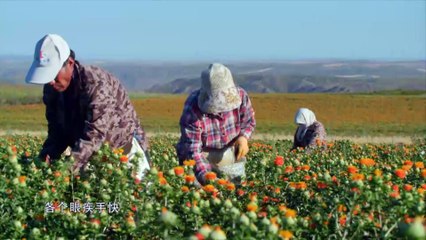 The Tale Of Chinese Medicine EP01