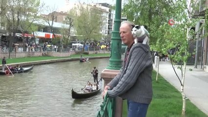 Boynunda kedisi ile tüm Türkiye'yi dolaşıyor