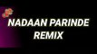 Nadaan Parinde Remix | Rockstar | DJ Vaggy & Stash X DJ Lemon | VDJ DH Style