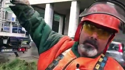 Tecnici  al lavoro per verificare le condizioni degli alberi di via Crispi dopo il crollo di questa notte.