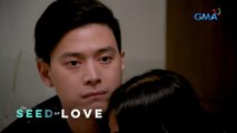 The Seed of Love: The conscience of an unfaithful husband (Episode 7)
