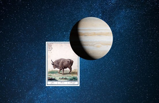 Jupiter en Taureau dès le 16 mai 2023 : quel effet aura la planète sur les signes astrologiques ?