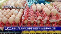 Harga Telur di Bali Naik Drastis, Imbas Tingginya Harga Pakan Ayam