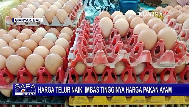 Harga Telur di Bali Naik Drastis, Imbas Tingginya Harga Pakan Ayam