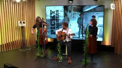 LIVE TELEGRENOBLE - Picky Banshees