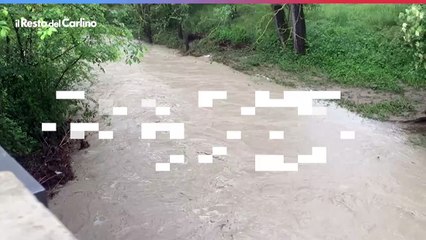 Maltempo oggi a Bologna: il video del torrente Zena a livello del terreno