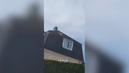 English Heritage castle has been forced to shut after a swarm of bees 'terrorized' several towns