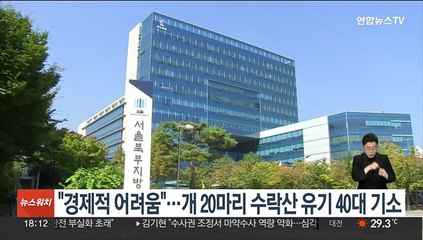 "경제적 어려움"…개 20마리 수락산 유기 40대 기소
