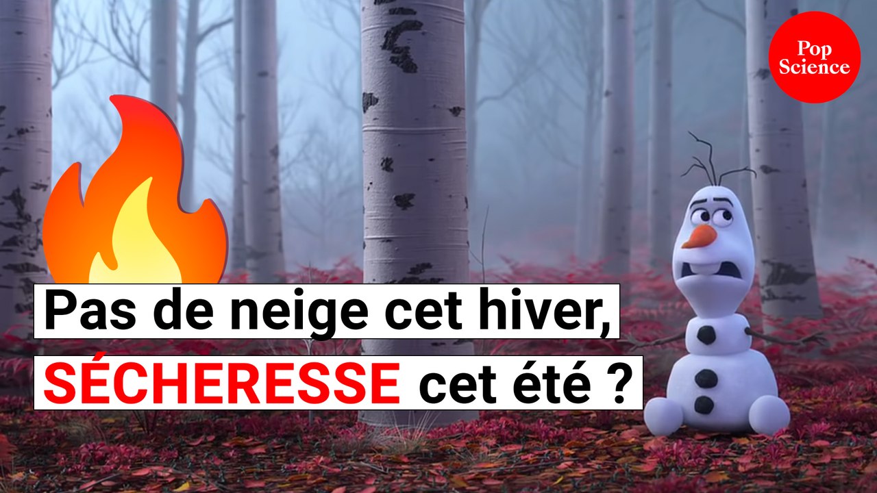 Sécheresse: l'été 2023 ressemblera-t-il à celui de 2022?