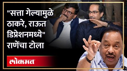 "राज ठाकरेंचे आमदार, खासदार किती? राणेंनी साधला राज ठाकरेंवर निशाणा