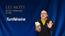 Etymologie des mots - Aujourd'hui 