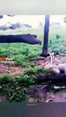 Embarrassing moments _ Funny Trends #funny #viral #viralvideo #ytshorts #shorts