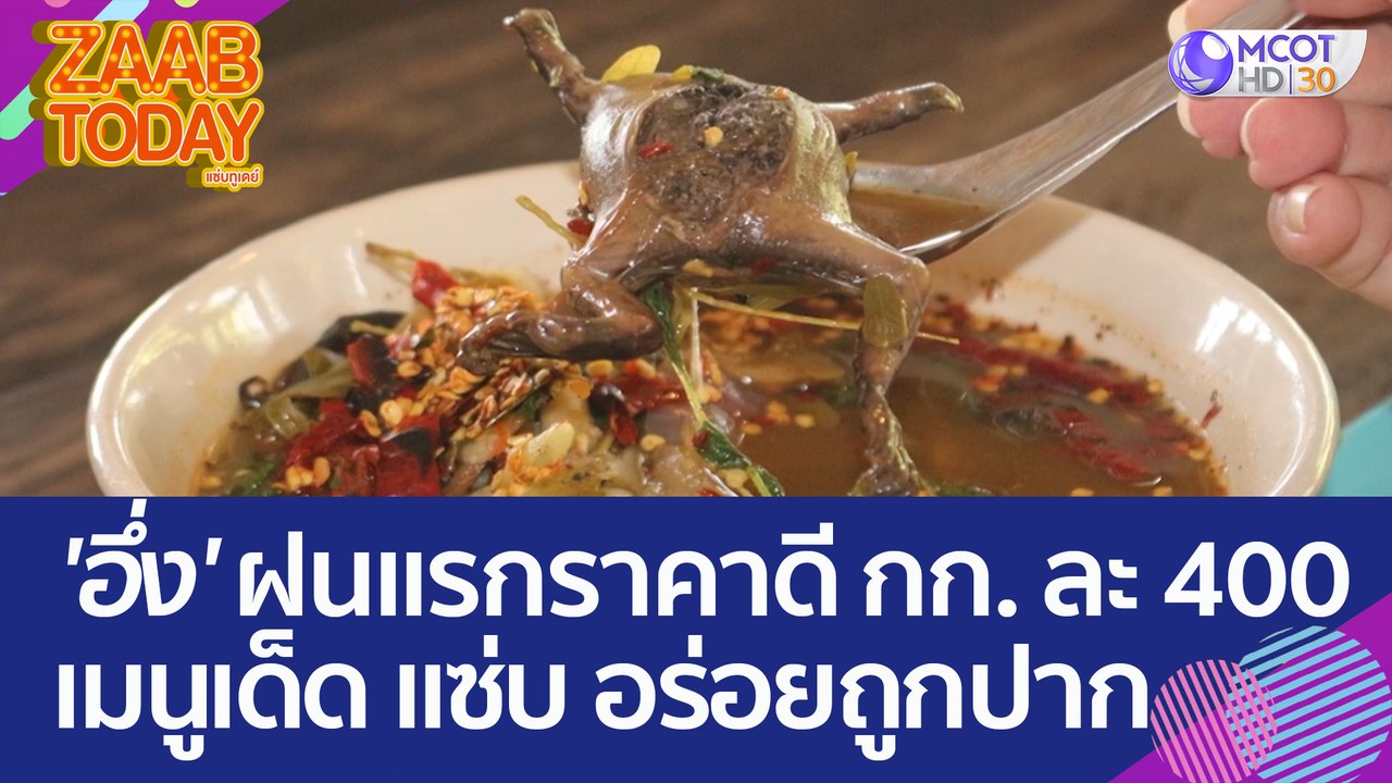 'อึ่ง' ฝนแรกราคาดี กก. ละ 400 บาท ทำเมนูเด็ด แซ่บ อร่อยถูกปาก (16 พ.ค. 66) แซ่บทูเดย์
