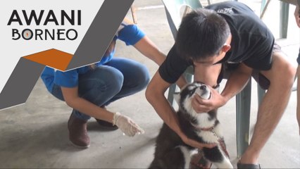 11 kes kalangan manusia dilaporkan di Sarawak