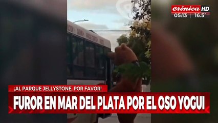 ¡El Oso Yogui quiso subirse al bondi y no pudo!
