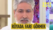  RÜYADA FARE GÖRMEK | Mehmet Emin Kırgil