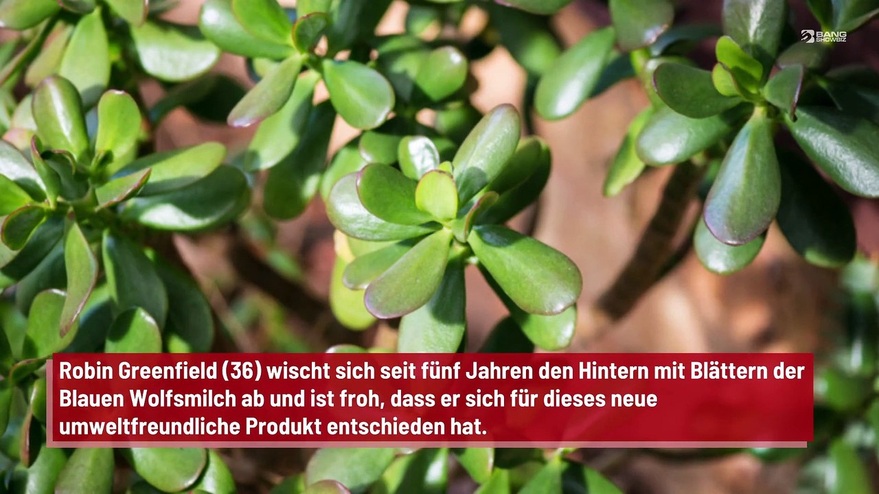 Pflanzenblätter statt Klopapier