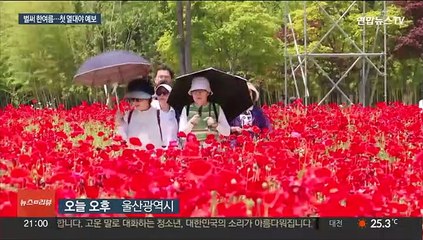 강릉 35.5℃ 5월 더위 신기록…벌써 첫 열대야 예보