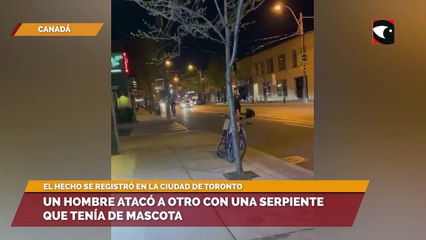 Un hombre atacó a otro con una serpiente que tenía de mascota