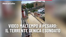 Video maltempo a Pesaro: il terrente Genica esondato