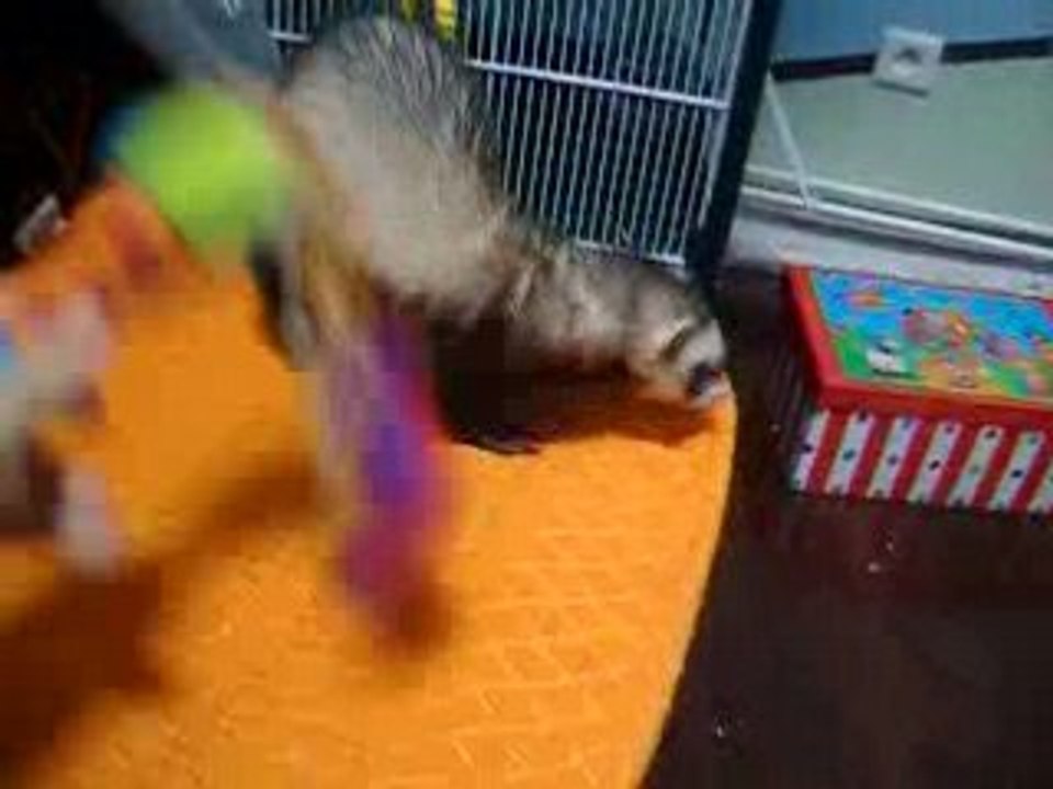 Nouvelle aire de jeu