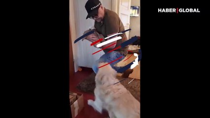 Evin yeni üyesi bebek ile tanışan köpeğin heyecanı viral oldu
