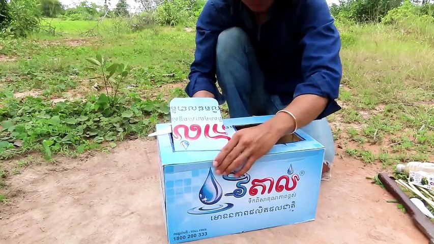 How To Make Bird Trap. Best Quick Bird Trap Using Vital Cardboard Box And Woods