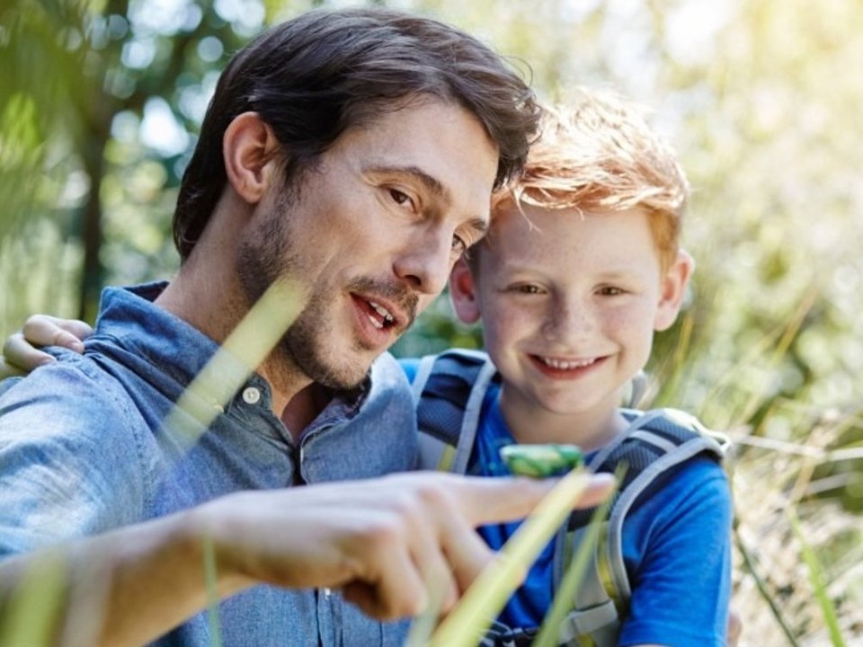 Statistisches Bundesamt: Zahl alleinerziehender Väter gestiegen