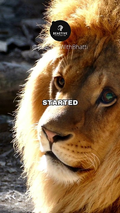 Dont give up #beactivewithbhatti #shorts #Shorts #ytshorts #shortsfeed