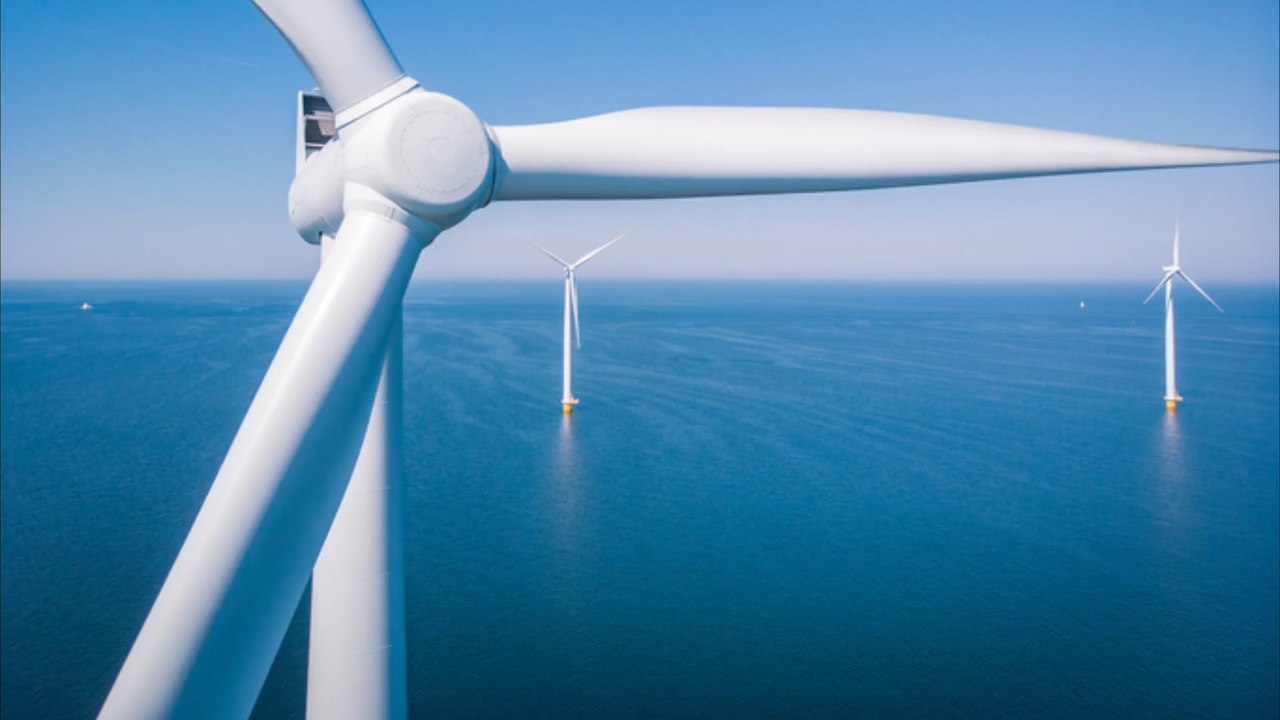 'Erstes Land weltweit' stoppt Windparks für Vogelschutz