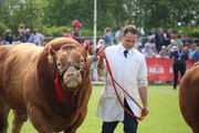 64 photographs from last week's Balmoral Show