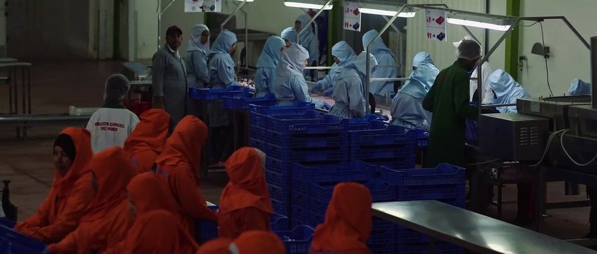 Poissons Rouges Bande-annonce VO