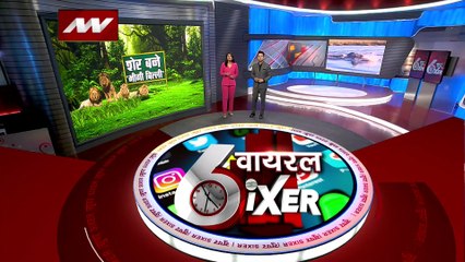 Viral SIXER : हिप्पो के हमले से खौफ में आए तीनों शेर
